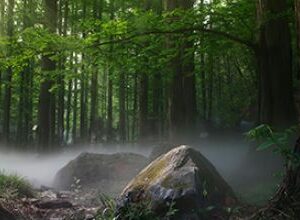 Symfoniorkestret: Elverskud [10-03-2026]