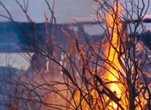 Symfoniorkestret: Sankthans 2026 [23-06-2026]