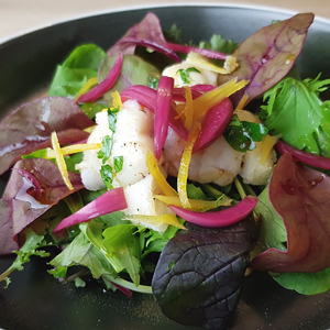 Sprød salat med dampet torsk, syltede rødløg urtedressing samt ristede kerner hertil brød og smør